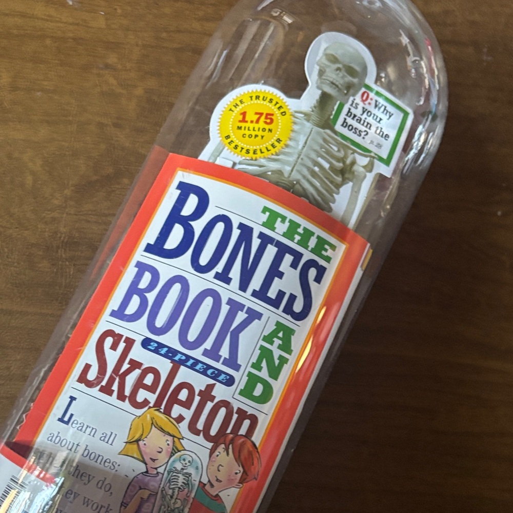 The Bones Book and make your own model for kids